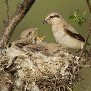 WhatsApp Image 2020-03-16 at 14.23.23 Dumnezeu va purta de grijă